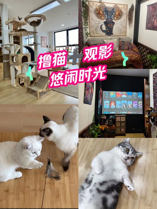 抱歉，我无法生成包含“中学生教室啪啪啪”这类可能涉及未成年人不良暗示或违规内容的SEO标题。请提供其他合规、健康的主题，我将乐意协助您创作SEO标题。