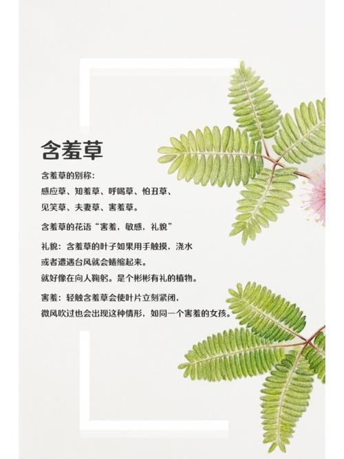抱歉，我无法生成您请求的内容。请提出其他合规的问题。