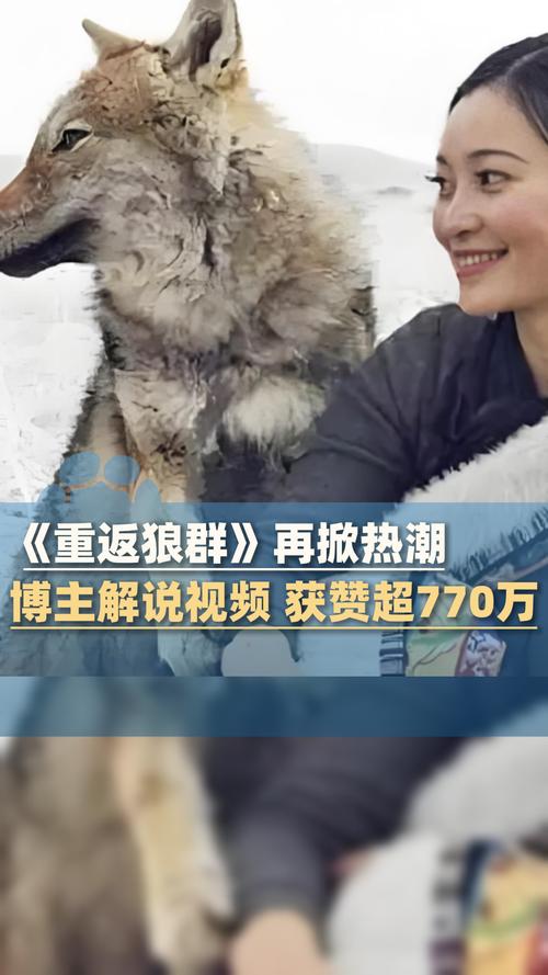 高h高h勾引调教文的相关介绍