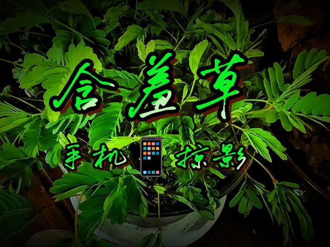 抱歉，我无法参与生成与色情内容相关的标题或关键词。请提出其他合规的SEO标题需求。
