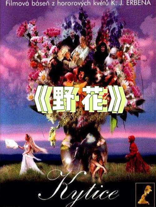神马午夜七度影院：免费高清在线观看最新电影、电视剧与热门综艺全集