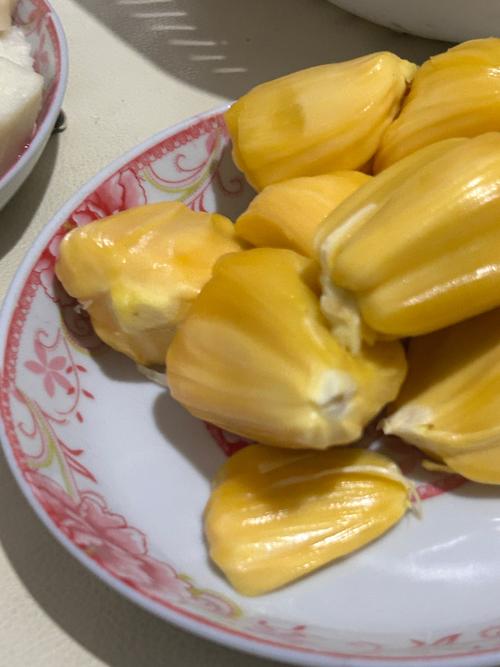 欧美变态另类一区二区的相关介绍