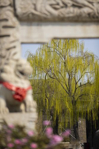 1024欧美金沙人妻你懂的的相关介绍