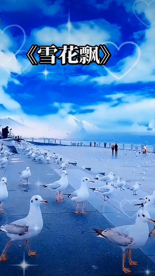 国产一浮力影院在线观看｜高清无广告版｜海量国产影视资源一键畅享