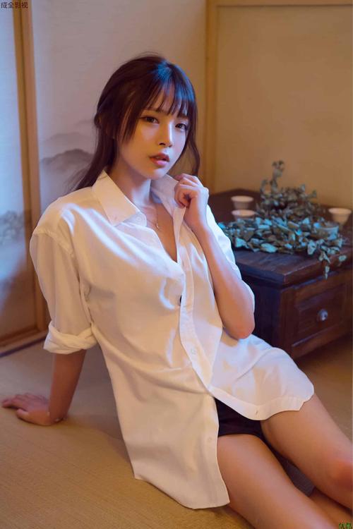 av伦理熟妇的相关介绍